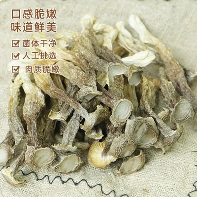 鹿茸菇干货精选无熏硫新鲜整根煲汤食材家用商用农家特产食用蘑菇鹿茸菌批发酒店專用大個7