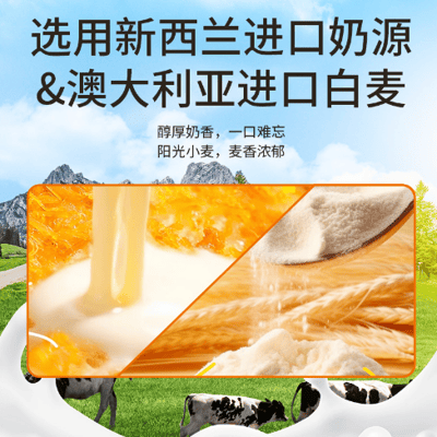 小杨臻選肉鬆乳酪味吐司休閒代餐即食麵包 質保3個月6