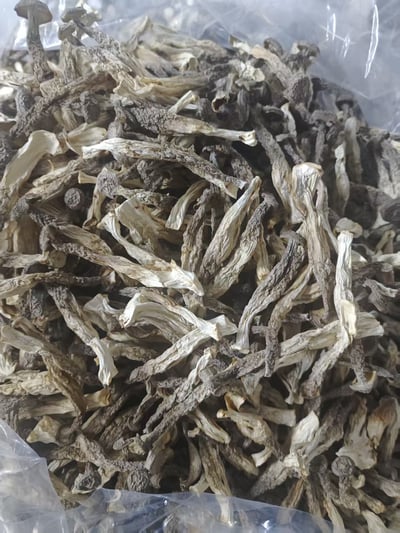 鹿茸菇干货精选无熏硫新鲜整根煲汤食材家用商用农家特产食用蘑菇鹿茸菌批发酒店專用大個9