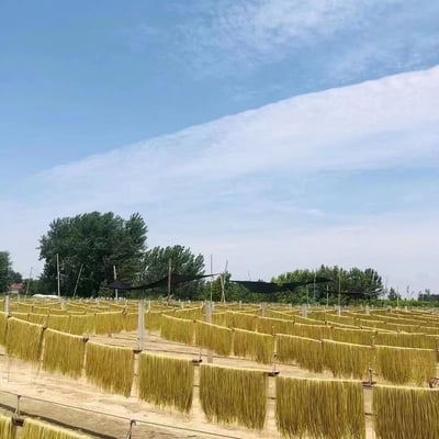 正宗重慶酸辣粉專用粉絲商用開店批發紅薯粉粗細粉條20斤裝 質保2年3