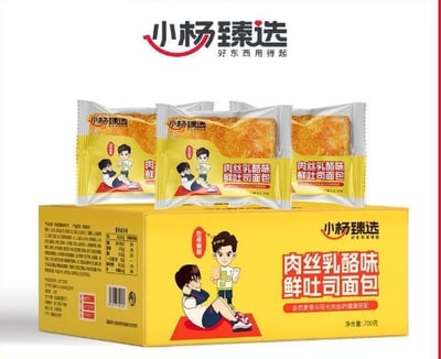 小杨臻選肉鬆乳酪味吐司休閒代餐即食麵包 質保3個月1