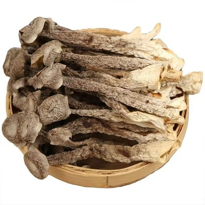 鹿茸菇干货精选无熏硫新鲜整根煲汤食材家用商用农家特产食用蘑菇鹿茸菌批发酒店專用大個1