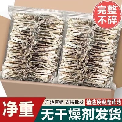 鹿茸菇干货精选无熏硫新鲜整根煲汤食材家用商用农家特产食用蘑菇鹿茸菌批发酒店專用大個2