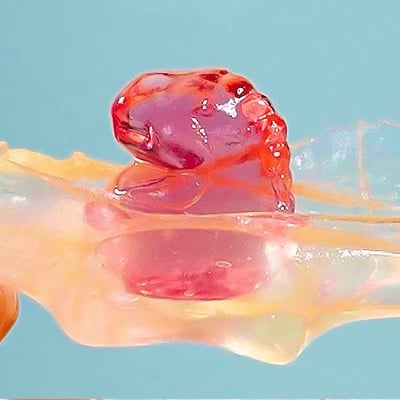 新型剝皮軟糖3D趣味動物造型多口味兒童糖果精美零食禮包 質保12月5