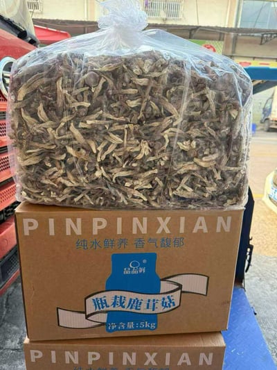 鹿茸菇干货精选无熏硫新鲜整根煲汤食材家用商用农家特产食用蘑菇鹿茸菌批发酒店專用大個3