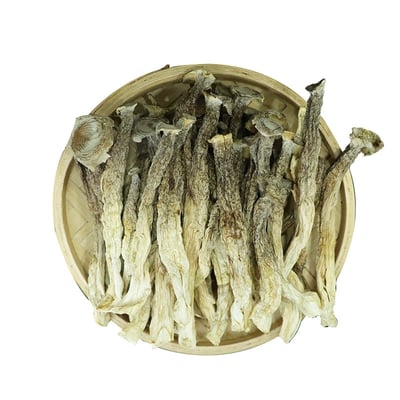 鹿茸菇干货精选无熏硫新鲜整根煲汤食材家用商用农家特产食用蘑菇鹿茸菌批发酒店專用大個8