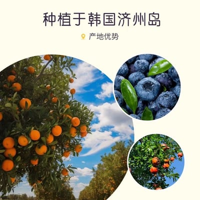 韓國濟州島維C片維生素C咀嚼片柑橘橘子兒童成人孕婦VC含片 500克/瓶約300粒 質保18個月6