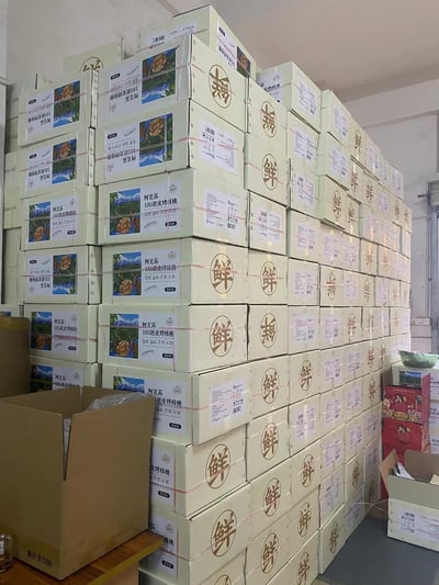 25年新果 浙疆果阿克苏纸皮核桃皮薄好剥一捏就开光照充足自然成熟晒干草本味5