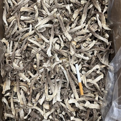 鹿茸菇干货精选无熏硫新鲜整根煲汤食材家用商用农家特产食用蘑菇鹿茸菌批发酒店專用大個10