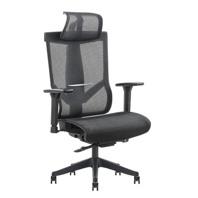 Dustin達斯丁高階底盤德國網人體工學電腦椅-黑色1