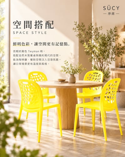 Twyman特威曼網孔餐椅12