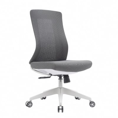 Vortex 1.0 旋流白框中背半網人體工學電腦椅-三色可選2