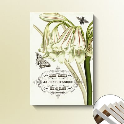 歐式手繪花卉 奶油白色系 四款 浦公英  花5