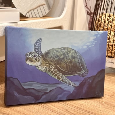 漫德原創-寵物系列｜手繪台灣綠蠵龜 台灣在地繪師1