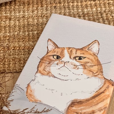 漫德原創-貓系列｜賤賤貓系-看屁喔！橘白貓 台灣在地繪師2