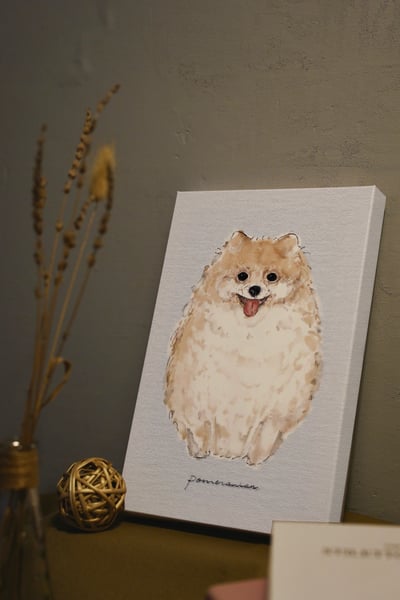 漫德原創-狗系列｜博美犬 台灣在地繪師2