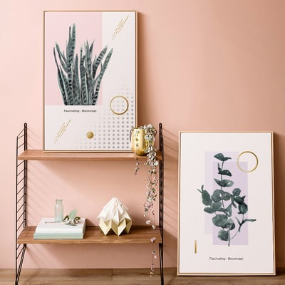 綠植系列 龜背芋 竹芋 八款3