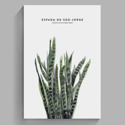 現代簡約北歐清新綠色植物 系列 10款16