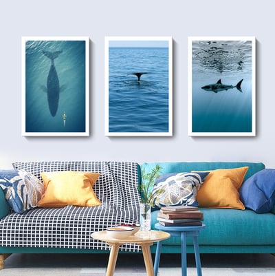 海洋生物系列 4個款式3