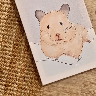 漫德原創-寵物系列｜你在看我嗎？黃金鼠 台灣在地繪師3