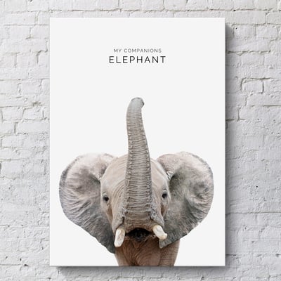 小朋友動物 簡約 系列 12款6