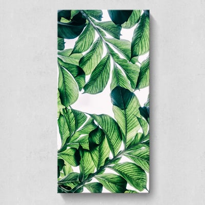 彩清新葉子綠植  特殊長型畫框  8款6