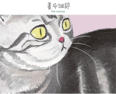 手繪貓咪系列 17種21