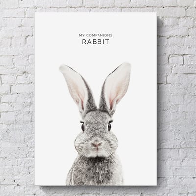 小朋友動物 簡約 系列 12款4