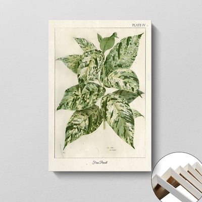 美式復古植物花卉果實 7款9