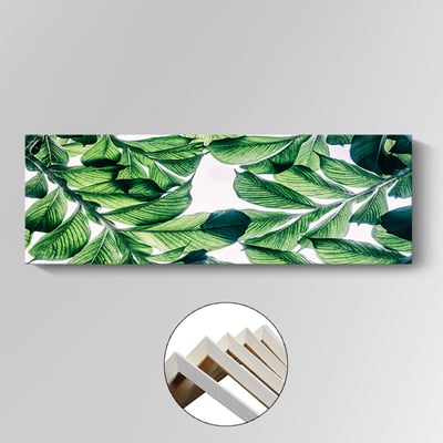 龜背芋 清新植物葉子臥室床頭 5款8