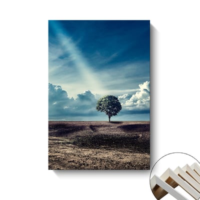 海洋 鯨魚 魚尾 四款5