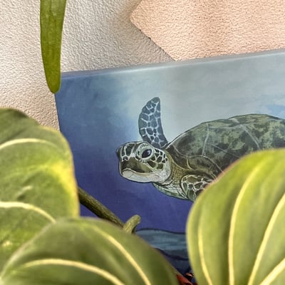 漫德原創-寵物系列｜手繪台灣綠蠵龜 台灣在地繪師3