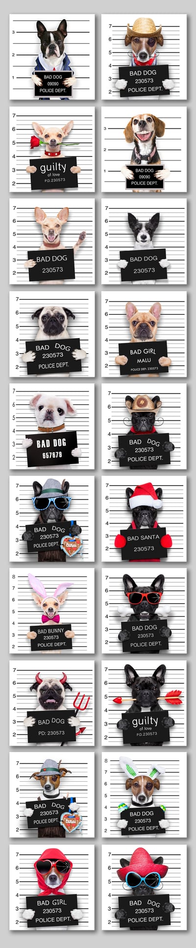 有趣狗狗系列 法鬥 20款23