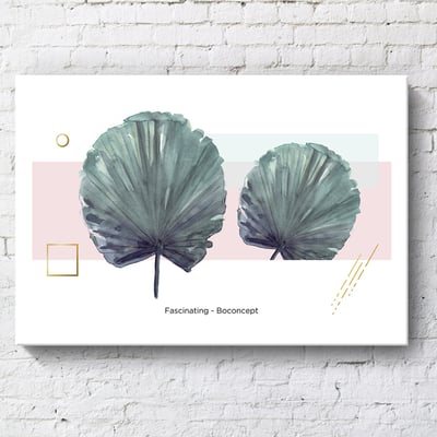 綠植系列 龜背芋 竹芋 八款15