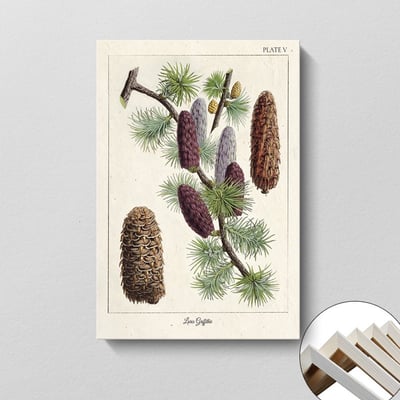 美式復古植物花卉果實 7款15