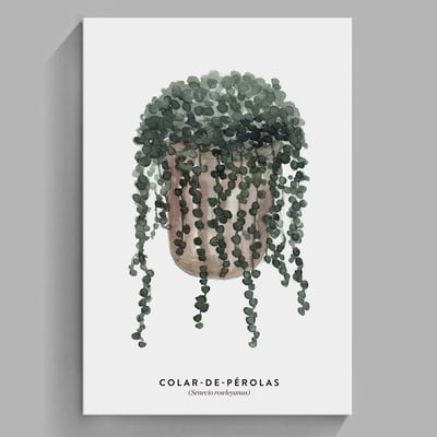 現代簡約北歐清新綠色植物 系列 10款13