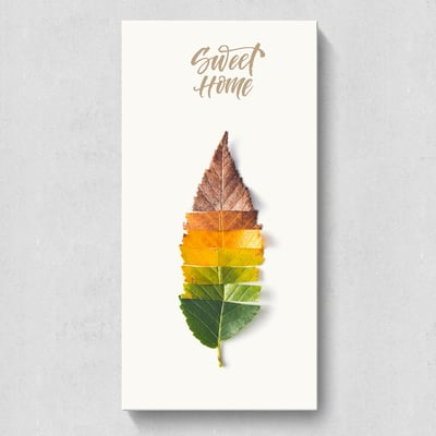 彩清新葉子綠植  特殊長型畫框  8款11