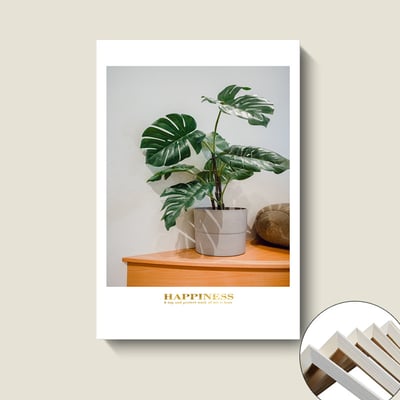 橘色車系大自然休閒風格 6款8