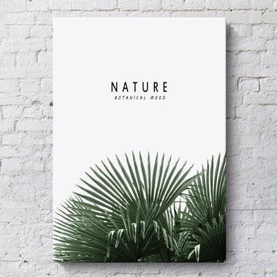 北歐綠色葉子綠植 三款3