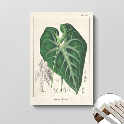 美式復古植物花卉果實 7款10