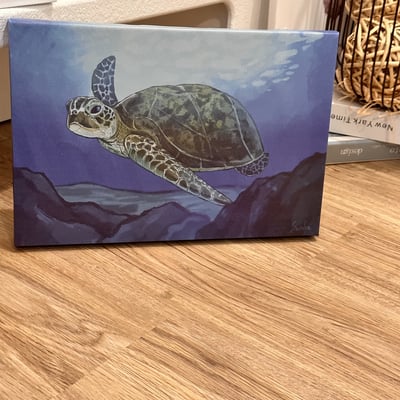 漫德原創-寵物系列｜手繪台灣綠蠵龜 台灣在地繪師5