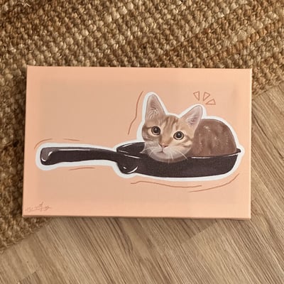 漫德原創-寵物系列｜鍋子橘貓貓 台灣在地繪師1