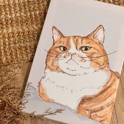 漫德原創-貓系列｜賤賤貓系-看屁喔！橘白貓 台灣在地繪師3