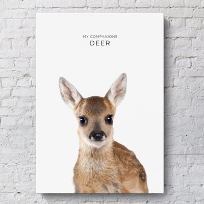 小朋友動物 簡約 系列 12款15