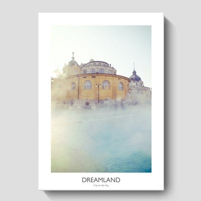 海洋風景  鳳梨 五款10