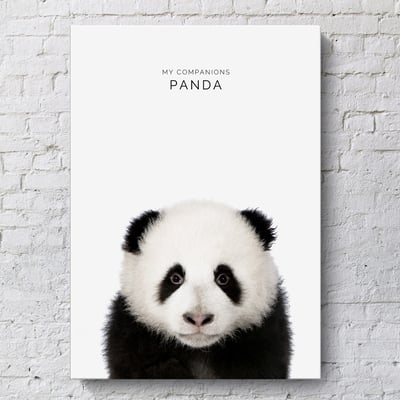 小朋友動物 簡約 系列 12款12