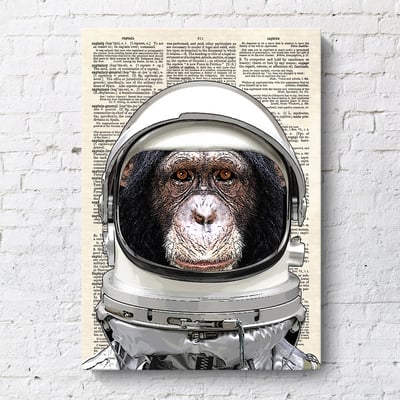 報紙動物風格 長頸鹿 猴子 驢子 貓咪 狗 虎斑貓 六款8