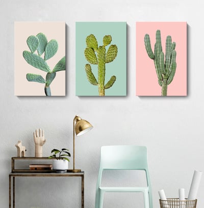 仙人掌清新繽紛色系 植物   三款2