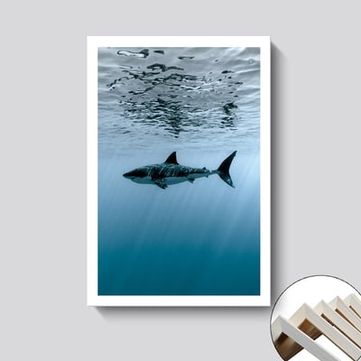 海洋生物系列 4個款式7