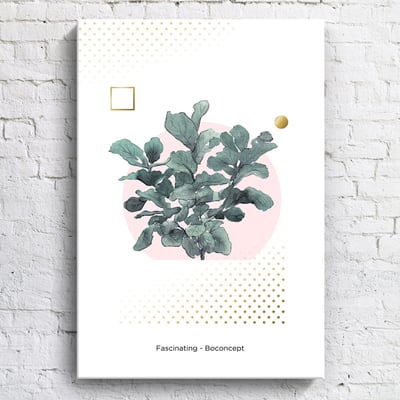 綠植系列 龜背芋 竹芋 八款11